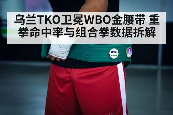 boxing championship belt